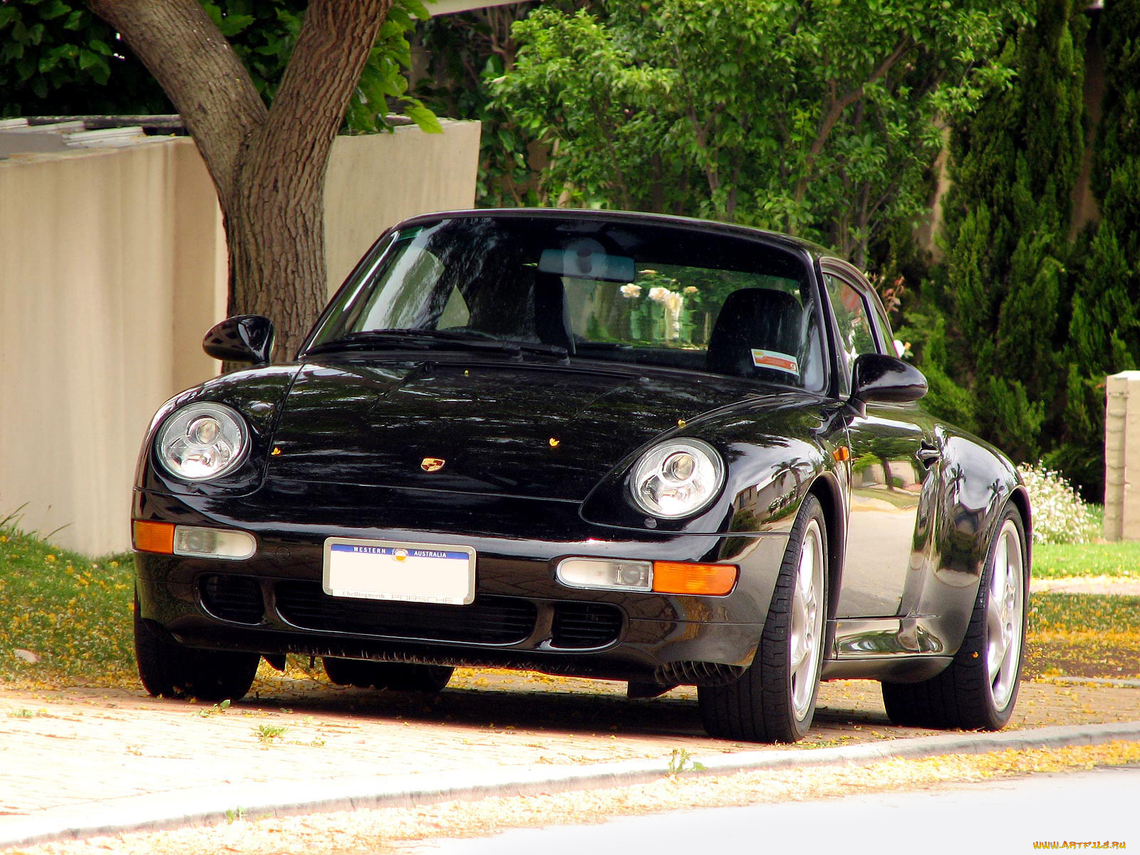 , porsche